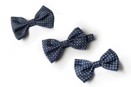 Andrews-Ties-Papillon-Fantasia-Fantasy-Bow-Tie-Blu-Azzurro-Blue-Light-Blue-Presentazione-Presentation