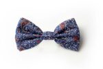 Andrews-Ties-Papillon-Fantasia-Disegno-Cashmere-Fantasy-Bow-Tie-Cashmere-Design-Fondo-Blu-Chiaro-Clear-Blue-Background-COD.PCS003