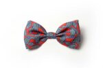 Andrews-Ties-Papillon-Fantasia-Disegno-Cashmere-Fantasy-Bow-Tie-Cashmere-Design-Fondo-Rosso-Red-Background-COD.PCS004