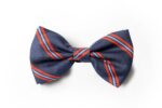 Andrews-Ties-Papillon-Fantasia-Fantasy-Bow-Tie-Blu-Rosso-Blue-Red-Disegno-Riga-Stripes-Design-COD.PB006