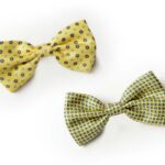 Andrews-Ties-Papillon-Fantasia-Fantasy-Bow-Tie-Fondo-Giallo-Yellow-Background-Presentazione-Presentation