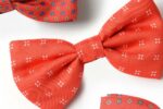 Fantasy Bow Tie Red Background - Image 2