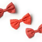 Andrews-Ties-Papillon-Fantasia-Fantasy-Bow-Tie-Fondo-Rosso-Red-Background-Presentazione-Presentation