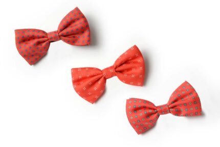 Andrews-Ties-Papillon-Fantasia-Fantasy-Bow-Tie-Fondo-Rosso-Red-Background-Presentazione-Presentation