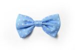 Andrews-Ties-Papillon-Pois-Pois-Bow-Tie-Azzurro-Bianco-Light-Blue-White-COD.PP107