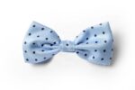 Andrews-Ties-Papillon-Pois-Pois-Bow-Tie-Azzurro-Blu-Light-Blue-Blue-COD.PP108