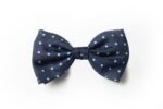 Andrews-Ties-Papillon-Pois-Pois-Bow-Tie-Blu-Azzurro-Blue-Light-Blue-COD.PP102