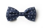 Andrews-Ties-Papillon-Pois-Pois-Bow-Tie-Blu-Bianco-Blue-White-COD.PP101