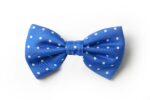 Andrews-Ties-Papillon-Pois-Pois-Bow-Tie-Blu-Elettrico-Bianco-Electric-Blue-White-COD.PP109