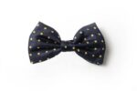 Andrews-Ties-Papillon-Pois-Pois-Bow-Tie-Blu-Giallo-Blue-Yellow-COD.PP105