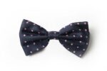 Andrews-Ties-Papillon-Pois-Pois-Bow-Tie-Blu-Rosa-Blue-Pink-COD.PP104