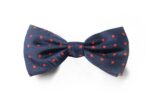 Andrews-Ties-Papillon-Pois-Pois-Bow-Tie-Blu-Rosso-Blue-Red-COD.PP103