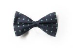 Andrews-Ties-Papillon-Pois-Pois-Bow-Tie-Blu-Verde-Blue-Green-COD.PP106