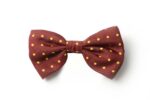 Andrews-Ties-Papillon-Pois-Pois-Bow-Tie-Bordeaux-Giallo-Bordeaux-Yellow-COD.PP117