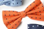 Papillon pois - immagine 2