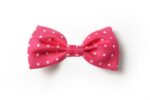 Andrews-Ties-Papillon-Pois-Pois-Bow-Tie-Fuxia-Bianco-Fuchsia-White-COD.PP115