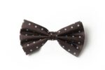 Andrews-Ties-Papillon-Pois-Pois-Bow-Tie-Marrone-Azzurro-Brown-Light-Blue-COD.PP118
