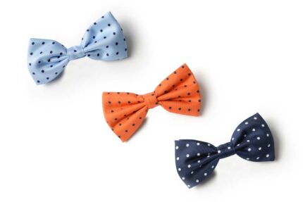 Andrews-Ties-Papillon-Pois-Pois-Bow-Tie-Presentazione-Presentation