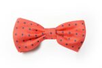 Andrews-Ties-Papillon-Pois-Pois-Bow-Tie-Rosso-Blu-Red-Blue-COD.PP114