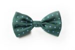 Andrews-Ties-Papillon-Pois-Pois-Bow-Tie-Verde-Azzurro-Green-Light-Blue-COD.PP119